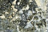 Pyrite, Sphalerite and Quartz Crystal Association - Peru #184541-3